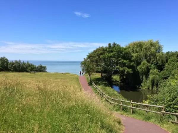 Studio vue mer à 2 min de la plage Villerville Eksteriør bilde